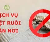 Dịch Vụ Diệt Ruồi Tận Nơi