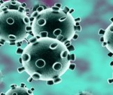 Sai Lầm Cần Tránh Khi Tìm Cách Tiêu Diệt Virus Corona