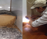 Toàn Tâm Cung Cấp Dịch Vụ Diệt Mối Dưới Nền Nhà Giá Rẻ