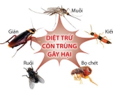 Những điều cần biết về thuốc diệt chuột Storm