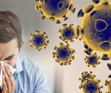 Chốt Chặn Cuối Cùng Ngăn Virus Covid-19 Xâm Nhập Vào Cơ Thể