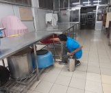 Cty dịch vụ diệt côn trùng tại Long Thành nào đáng tin cậy nhất?
