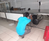 Công ty chuyên về dịch vụ diệt côn trùng Đồng Nai