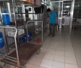 Cơ sở cung cấp dịch vụ diệt côn trùng tại Củ Chi