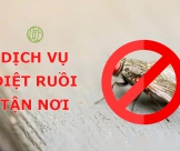 Dịch Vụ Diệt Ruồi Tận Nơi