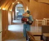 Toàn Tâm | Dịch Vụ Khử Trùng Văn Phòng Chuyên Nghiệp Nhất