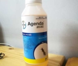 Thông Tin Cần Biết Về Thuốc Diệt Và Phòng Chống Mối Agenda 25EC