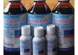 Thuốc diệt côn trùng Quickper 50EC