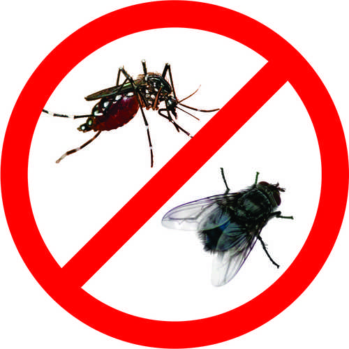 diệt muỗi nhà dân