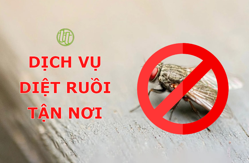 Dịch Vụ Diệt Ruồi Tận Nơi