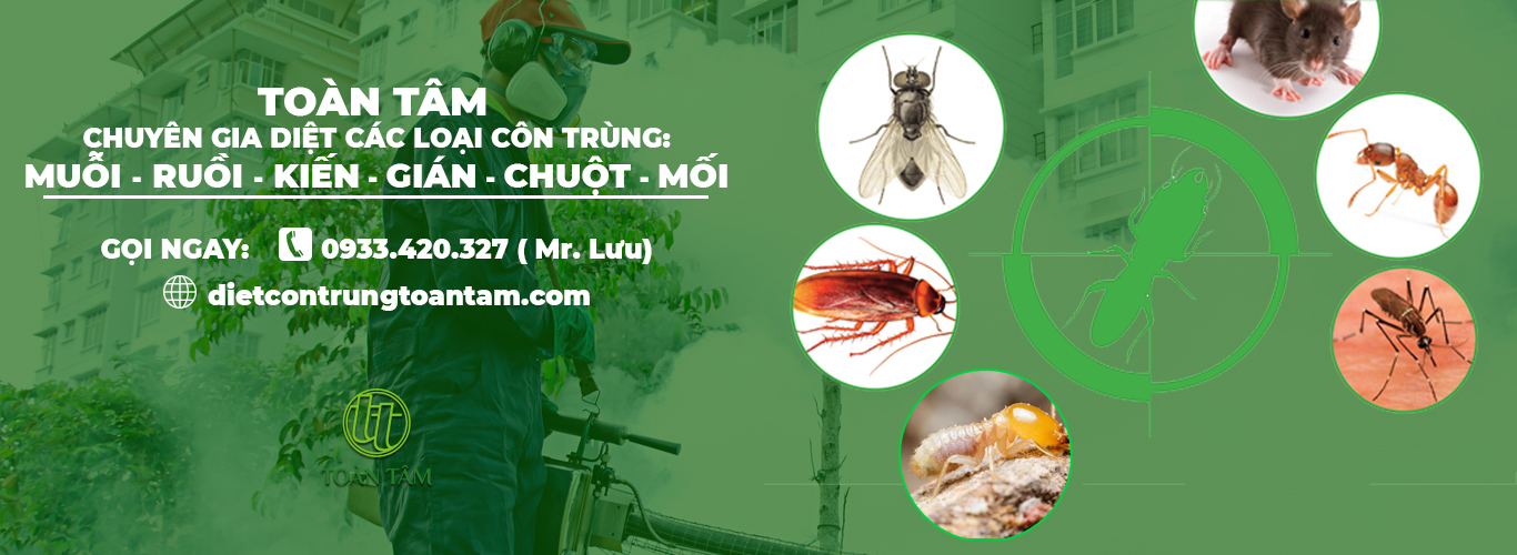 CÔNG TY TNHH TM - DV XỬ LÝ CÔN TRÙNG TOÀN TÂM