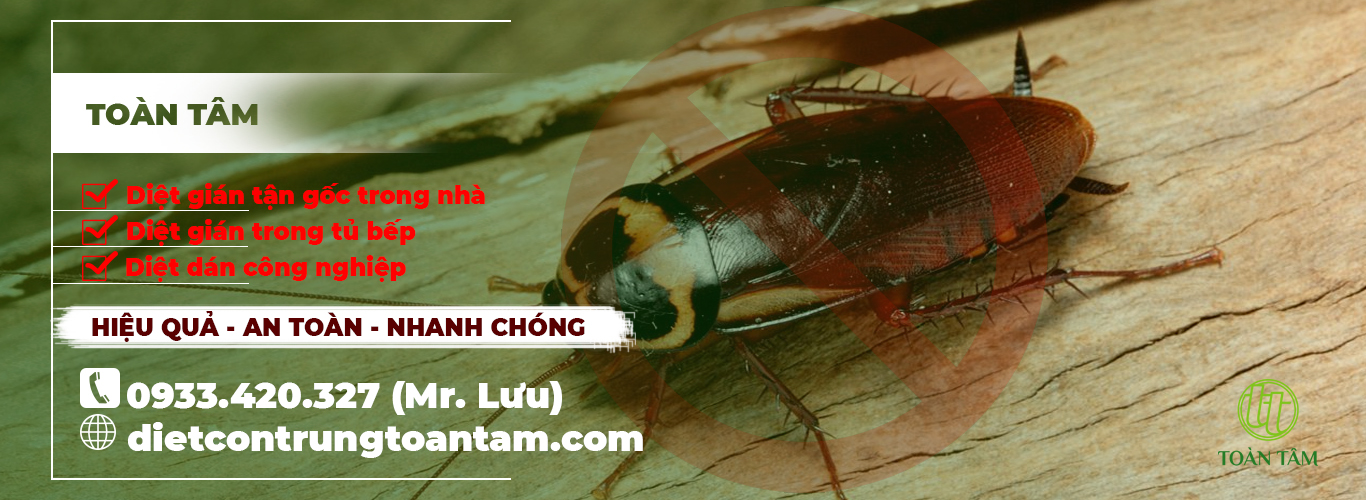 CÔNG TY TNHH TM - DV XỬ LÝ CÔN TRÙNG TOÀN TÂM