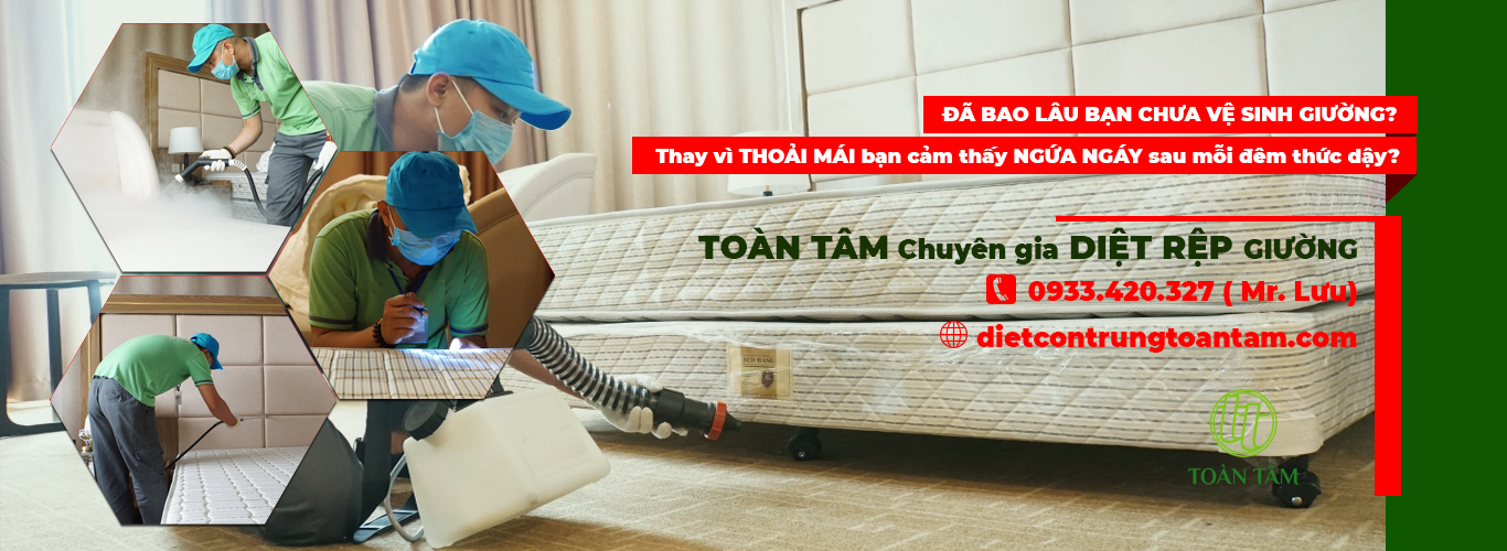 CÔNG TY TNHH TM - DV XỬ LÝ CÔN TRÙNG TOÀN TÂM